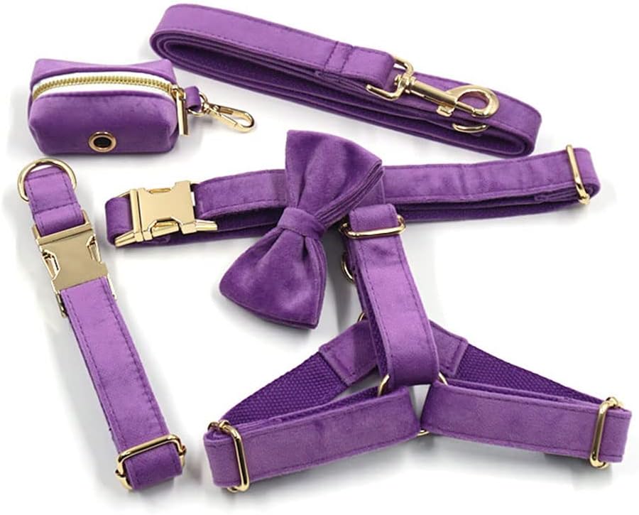 PETDURO Personalized Dog Collar Purple Soft Velvet for Large Medium Small Girl Dogs - Custom Collar with Name Phone Number Engraved on Gold Metal Buckle - Add Matching Leash Bow Set via Customize Now