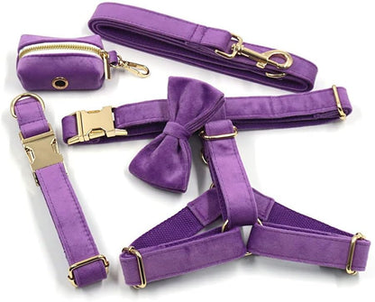 PETDURO Personalized Dog Collar Purple Soft Velvet for Large Medium Small Girl Dogs - Custom Collar with Name Phone Number Engraved on Gold Metal Buckle - Add Matching Leash Bow Set via Customize Now