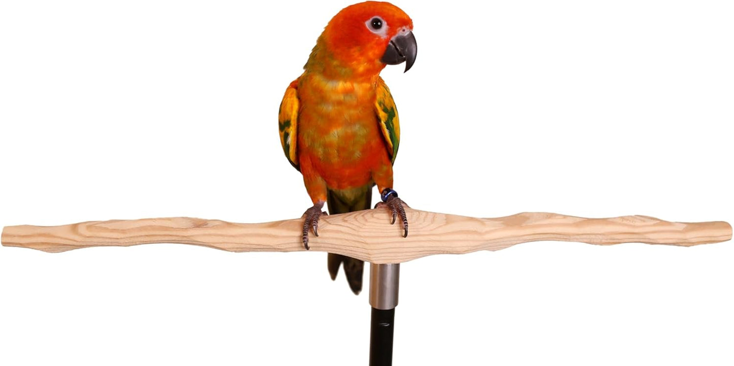 Parrot Training Perch Kit (T Perch, Small)