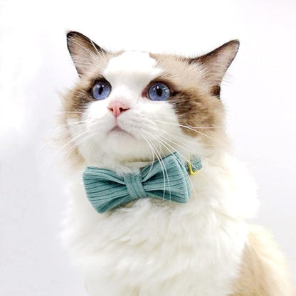 Personalized Cat Collar with Engraved Name and Phone Number - Customizable Kitten Collars for Boys and Girls (Stripe Velvet)