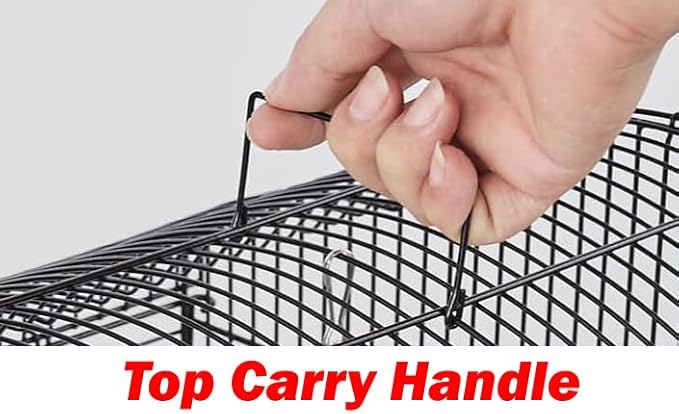 Large 36-Inch Portable Bird Flight Cage for Canary Parakeet Cockatiel Lovebird Finch Small Parrot Budgies Travel Bird Cage