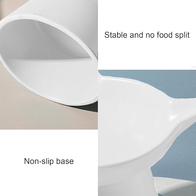 Ceramic Elevated Cat Bowl, Raised Cat Food Water Bowl for Indoor Cats with Stand, Titled Anti-Vomiting Cat Dish，Whisker Friendly, All Life Stage