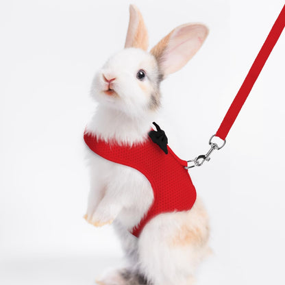 Rabbit Leash and Harness Set for Walking Escape Proof, Mesh Breathable Adjustable Bunny Harness Camping Hiking Training for Ferret Kitten Puppy Red S Young Rabbit 1-3 Months
