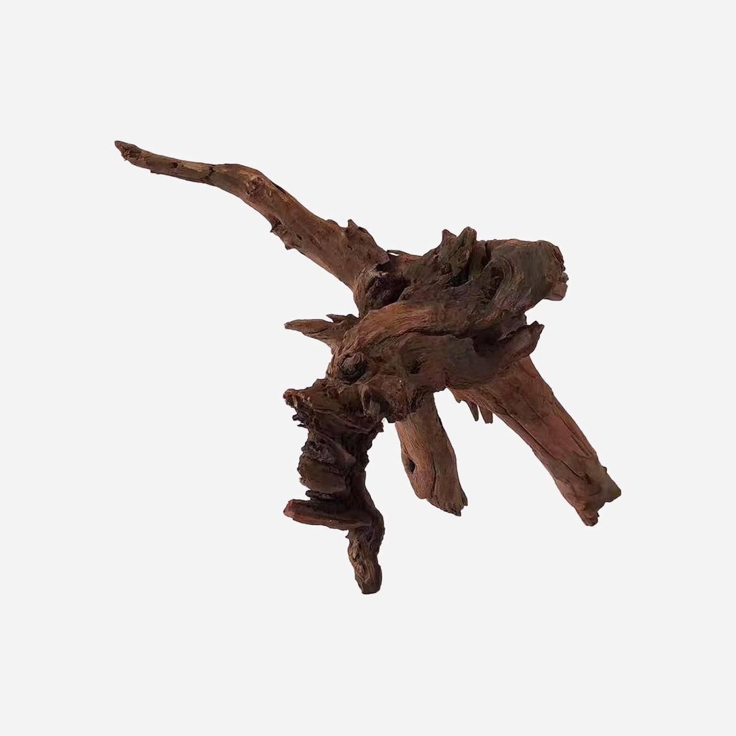 LYPHARD AQUARIUMS Natural Driftwood for Aquarium Decor, L16.14×W14.17×H12.2 Inches Large Drift Wood Decorations for Reptile Hide, Fish Tank, Optional Shapes