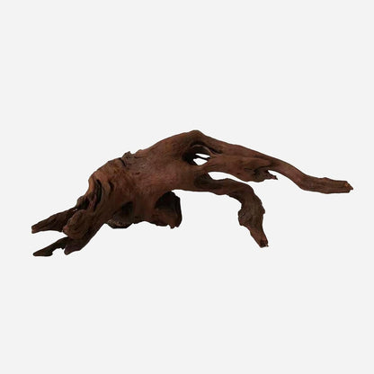 LYPHARD AQUARIUMS Natural Driftwood for Aquarium Decor, L22.05×W14.17×H8.66 Inches Large Drift Wood Decorations for Reptile Hide, Fish Tank, Optional Shapes