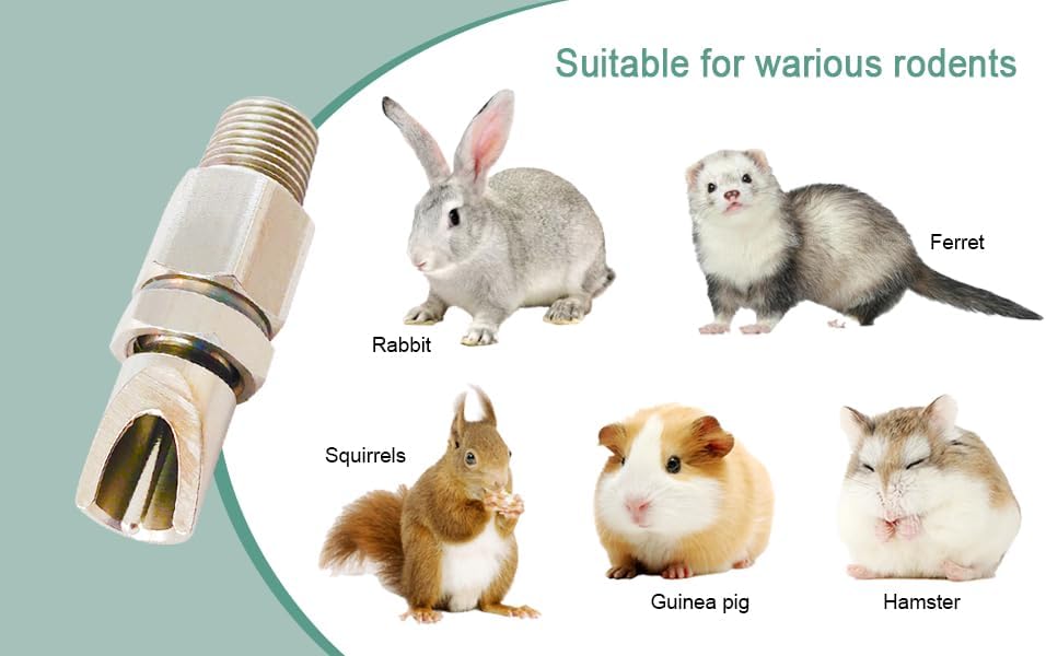 Threaded Stainless Steel Rabbit Nipples Rodent Nipples Waterer Automatic Rabbit Waterer Watering System Animal Supplies Breeding Supplies (Grey, 6)