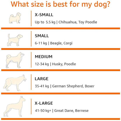 Amazon Basics Cooling Breathable Elevated Dog Bed with Metal Frame for Small Dogs, 36 x 22 x 7.5 Inch, Green