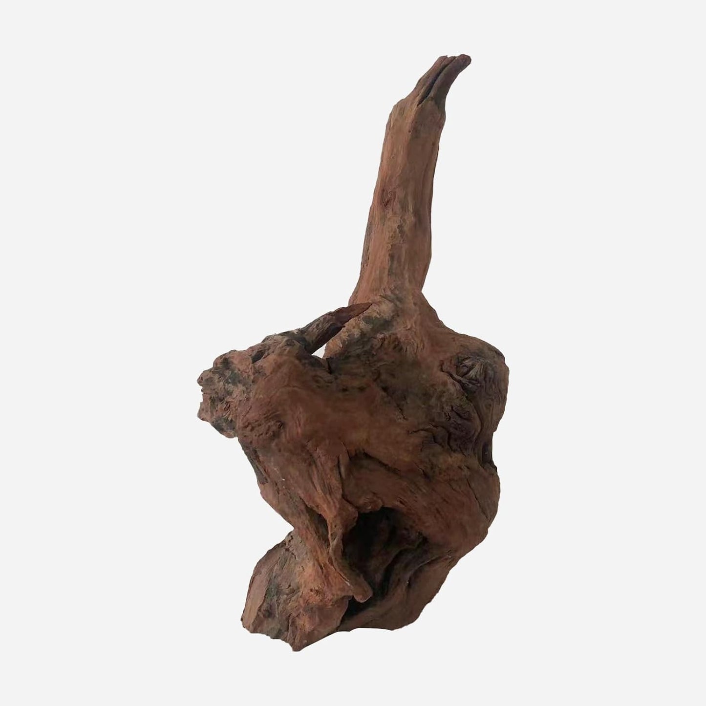 LYPHARD AQUARIUMS Natural Driftwood for Aquarium Decor, L13.78×W8.27×H14.17 Inches Large Drift Wood Decorations for Reptile Hide, Fish Tank, Optional Shapes