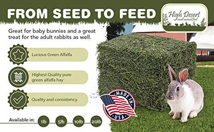 High Desert Alfalfa Hay for Rabbits, Guinea Pigs, Chinchillas & Small Pets – Protein-Rich Natural Hay for Young, Growing Animals – High-Fiber, Hand-Packed, Additive-Free, Grown in USA – 1 lb Box