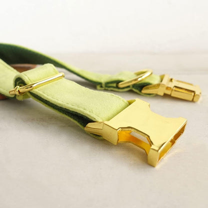 PETDURO Custom Dog Collar Personalized with Name Engraved Quick Release Rose Gold Metal Buckle for Large Medium Small Girl Dogs - Dog Leash and Bow Tie Available - Soft Comfy Velvet (Mint Green, XS)