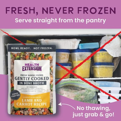 Health Extension Gently Cooked Lamb & Carrot Dog Food, Human-Grade & Shelf-Stable with Superfoods, Supports Digestion, Immunity, Skin & Coat, 3 oz Pouch (Pack of 20)