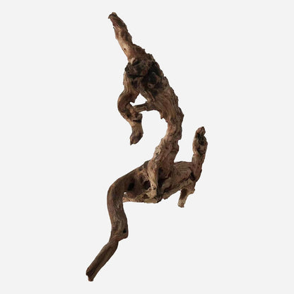 LYPHARD AQUARIUMS Natural Driftwood for Aquarium Decor, L20.08×W6.69×H18.11 Inches Large Drift Wood Decorations for Reptile Hide, Fish Tank, Optional Shapes