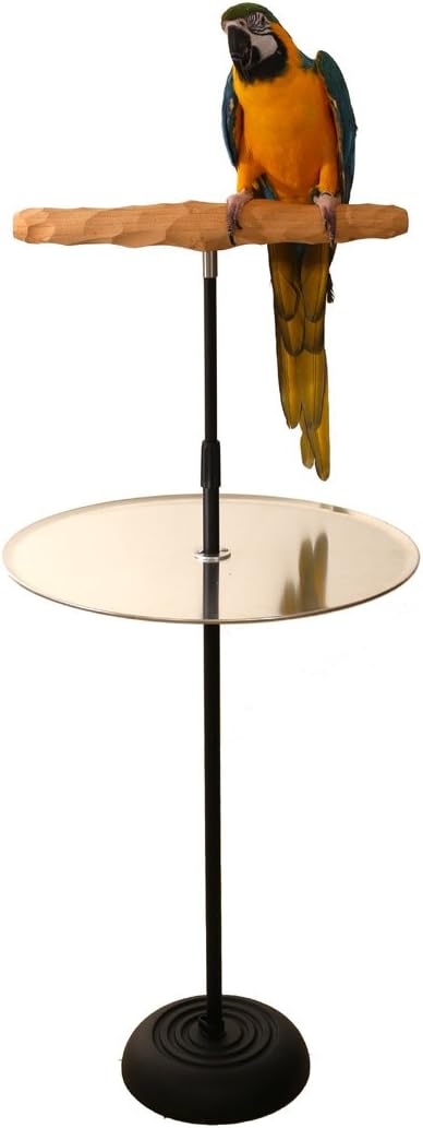 Parrot Training Perch Stand with Potty Tray (T Perch, XL)