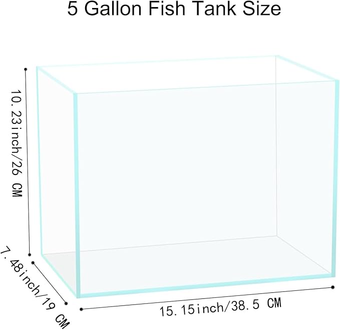 5 Gallon Glass Fish Tank, Easy to Maintain Small Aquarium for Betta/Goldfish/Snails/Shrimp and Aquatic Planting.
