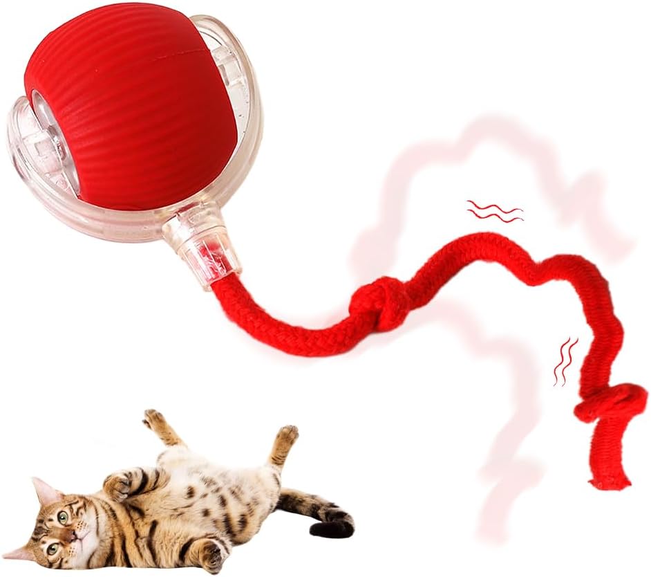 Interactive Cat Toy Ball, 2025 Upgraded Cat Toys for Bored Indoor Adult Cats, Self Rolling Interactive Dog Ball Toy, Automatic Smart Pet Toy Ball Kitten Toys (Red)