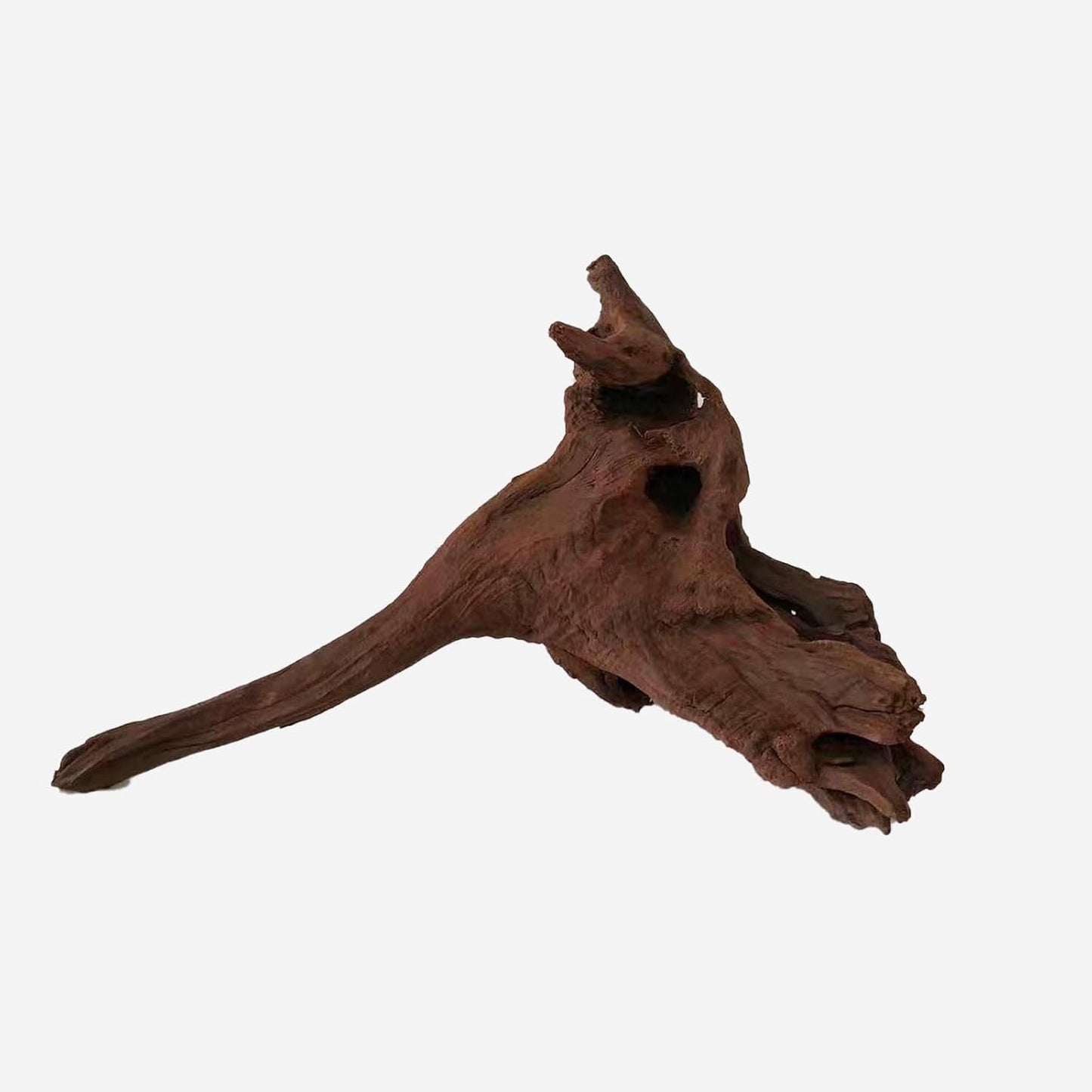 LYPHARD AQUARIUMS Natural Driftwood for Aquarium Decor, L20.87×W11.81×H11.81 Inches Large Drift Wood Decorations for Reptile Hide, Fish Tank, Optional Shapes