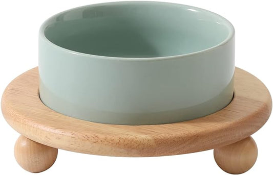 Ceramic Elevated Cat Food and Water Bowl, Kitty Bowl, Raised Cat Dish, Pet Feeder (5.1 in,1 x Light Green + Stand)