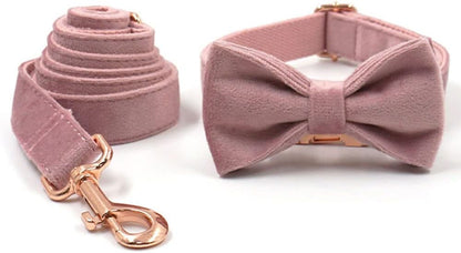 PETDURO Custom Dog Collar Personalized with Name Engraved Rose Gold Metal Buckle for Large Medium Small Girl Dogs - Dog Leash and Bow Tie Available - Soft Comfy Velvet (Champagne Pink RG, XL)