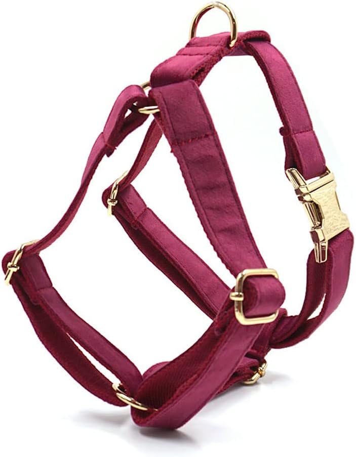 PETDURO Custom Dog Collar Personalized with Name Engraved Gold Metal Buckle for Large Medium Small Girl Dogs - Dog Leash Bow Tie and Harness Available - Soft Comfy Velvet (Claret G, L)