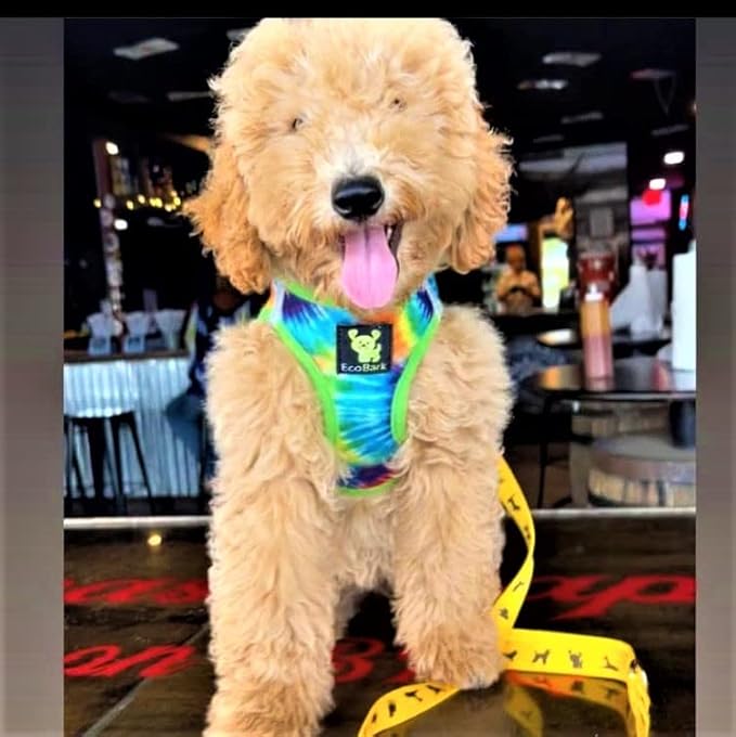 EcoBark Dog Harness - Luxury Step in Mesh Dog Harness in Tie Dye- Soft & Secure Halter Harness Vest for Puppies and Dogs