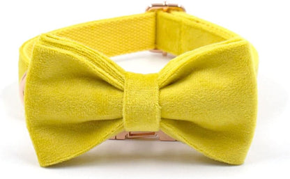PETDURO Custom Dog Collar Personalized with Name Engraved Quick Release Rose Gold Metal Buckle for Large Medium Small Girl Dogs - Dog Leash and Bow Tie Available - Soft Comfy Velvet (Yellow, XL)