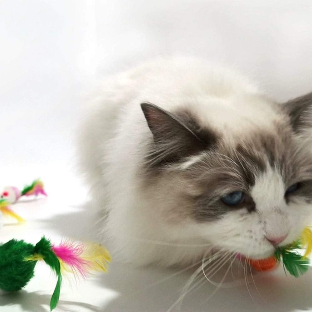Cat Mice Toys for Indoor Cats 12PCS, 5 Color Variety Mouse Cat Toy for Cats, Furry Cat Toy Mice Rattle Small Mouse Kitten Interactive Play