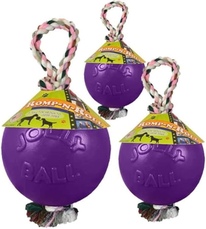 Jolly Pets Romp-n-Roll Rope and Ball Dog Toy, 6 Inches/Medium, Purple