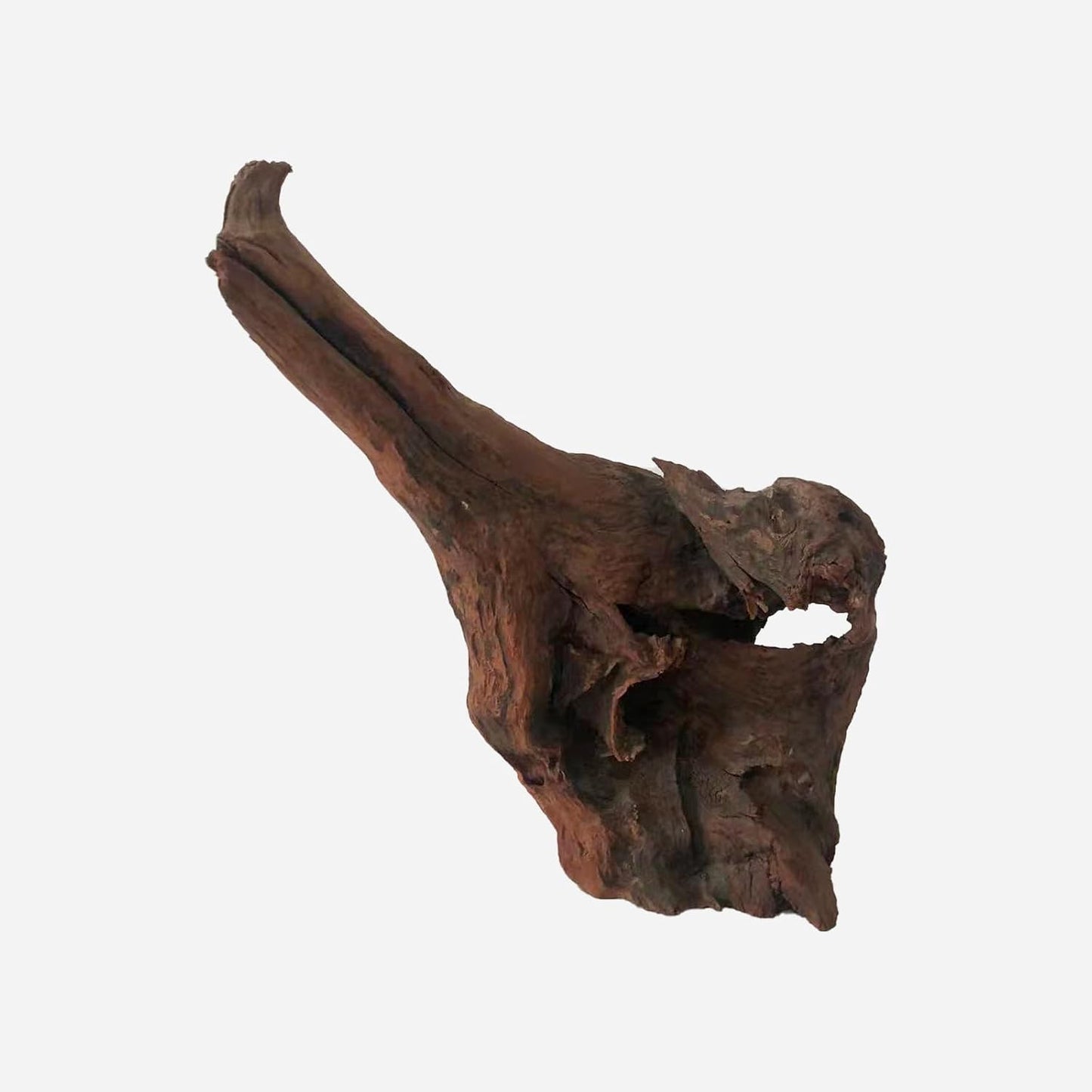 LYPHARD AQUARIUMS Natural Driftwood for Aquarium Decor, L13.78×W8.27×H14.17 Inches Large Drift Wood Decorations for Reptile Hide, Fish Tank, Optional Shapes