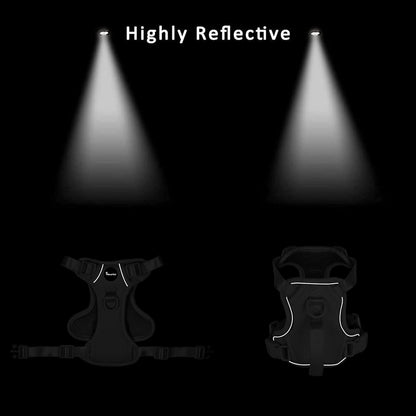 Petmolico Dog Harness for Small Dogs, Cute Harness Vest with Two Leash Clips and Soft Handle, Reflective Easy Walk Puppy Vest - Light Purple, Medium