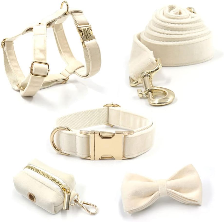 PETDURO Custom Dog Collar Personalized with Name Engraved Quick Release Rose Gold Metal Buckle for Large Medium Small Girl Dogs - Dog Leash and Bow Tie Available - Soft Comfy Velvet (Cream G, XS)
