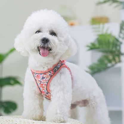 Step in Dog Harness and Leash Set, Flower Adjustable Easy Walk Puppy Harnesses, Soft Mesh Pet Vest Harness Small Size Dog Adjustable No Pull Dog Harness for Small Medium Dogs(Pink, S)