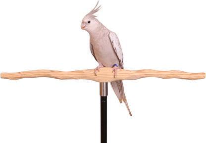 Parrot Training Perch Kit (T Perch, Small)