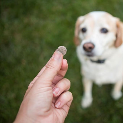 PHS Joint MAX Triple Strength (TS) Chewable Tablets for Dogs - Glucosamine, Chondroitin, MSM - Vitamins, and Antioxidants - Hip and Joint Pain Relief and Support Supplement - Made in USA - 120 Tablets