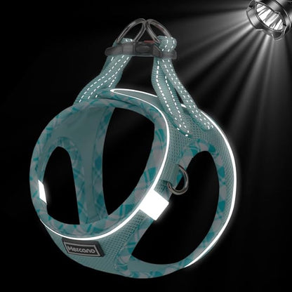 Mercano Soft Mesh Dog Harness and Leash Set, No-Chock Step-in Reflective Breathable Lightweight Easy Walk Vest Harnesses with Safety Buckle for Small Dogs, Cats (Light Blue, XXS)