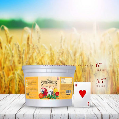 Lafeber's Classic Nutri-Berries for Macaw / Cockatoo 3.5 lb. Tub