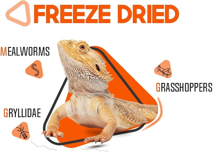 Medley Treat Bearded Dragon Food - Freeze Dried Mealworms, Grasshoppers, Crickets, Quality Tested, Vitamin & Calcium Enriched, Essential Proteins, Fats & Minerals - For Bearded Dragons, Reptiles 2.5oz