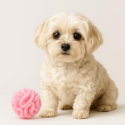 Glory To Dog Puppy and Small Breed Snuffle Interactive Foraging Dog Puzzle Ball Toy Pink Small