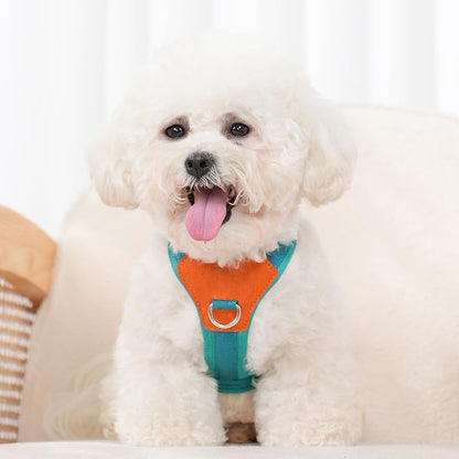 Blue XS No Pull Dog Harness for Small Dogs, Anti-Escape Easy Walk Puppy Harness with 2 Leash Clips, Adjustable Dog Vest Harness for Training Walking(Blue, XS)