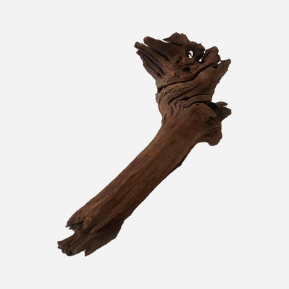 LYPHARD AQUARIUMS Natural Driftwood for Aquarium Decor, L19.29×W10.24×H9.06 Inches Large Drift Wood Decorations for Reptile Hide, Fish Tank, Optional Shapes