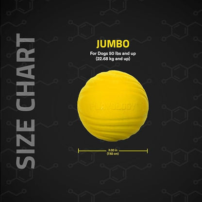 Playology Dog Toys | Dual Layer Ball Durable Chew Toy for Aggressive Chewers | Jumbo Chicken Scented Toy - Easy to Clean and Made from Non Toxic Materials