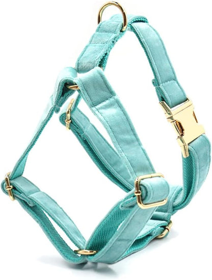 PETDURO Personalized Dog Collar Mint Green Soft Velvet for Large Medium Small Boy Girl Dogs - Custom Collar with Name Phone Number Engraved on Gold Metal Buckle - Add Leash Bow Set via Customize Now