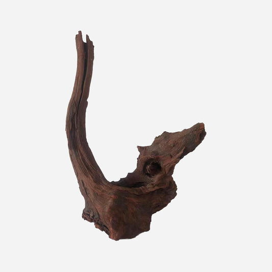 LYPHARD AQUARIUMS Natural Driftwood for Aquarium Decor, L12.2×W7.09×H18.5 Inches Large Drift Wood Decorations for Reptile Hide, Fish Tank, Optional Shapes