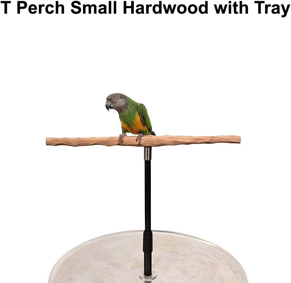 Parrot Training Perch Stand with Potty Tray (T Perch Hardwood, Small)