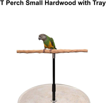 Parrot Training Perch Stand with Potty Tray (T Perch Hardwood, Small)