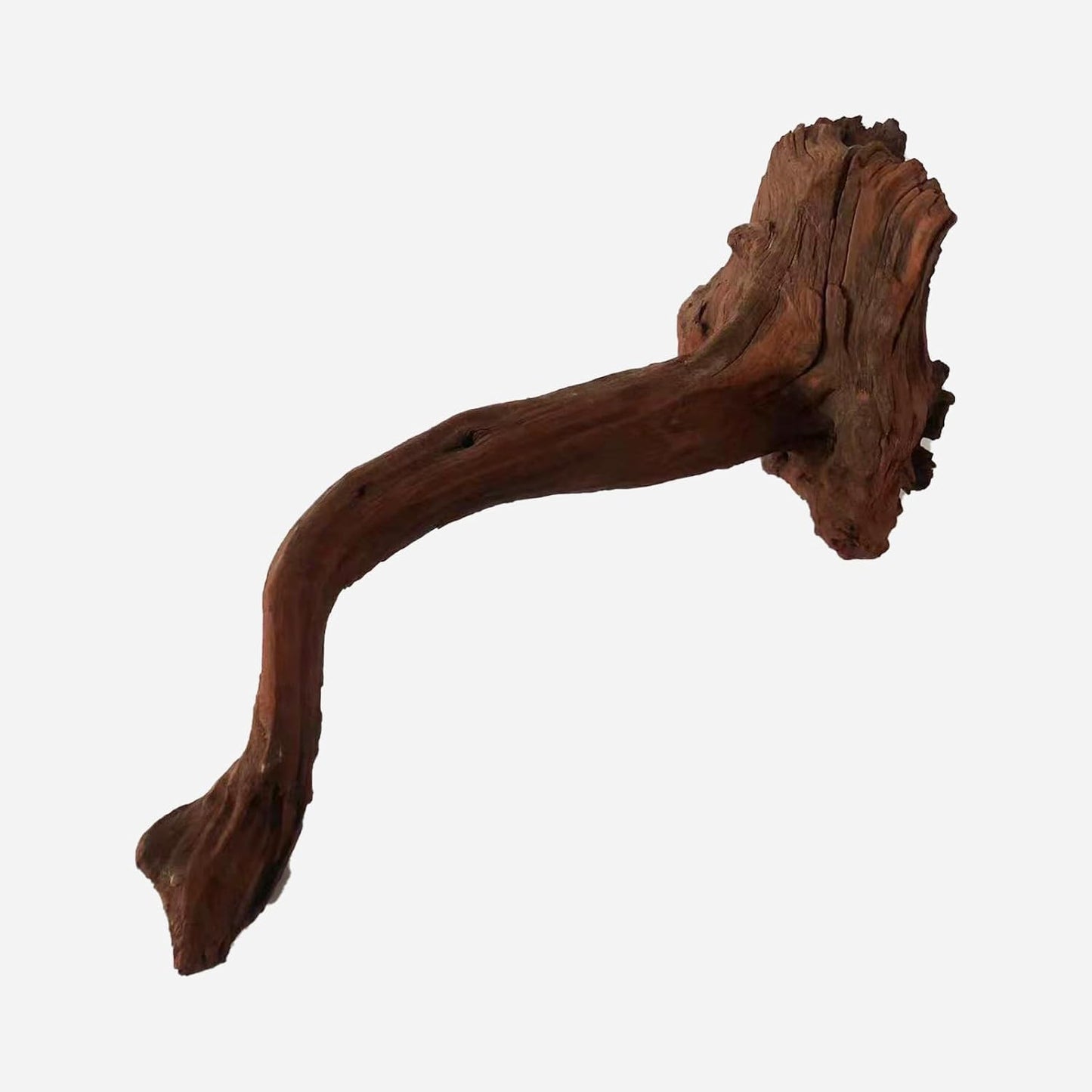 LYPHARD AQUARIUMS Natural Driftwood for Aquarium Decor, L20.47×W7.09×H9.06 Inches Large Drift Wood Decorations for Reptile Hide, Fish Tank, Optional Shapes