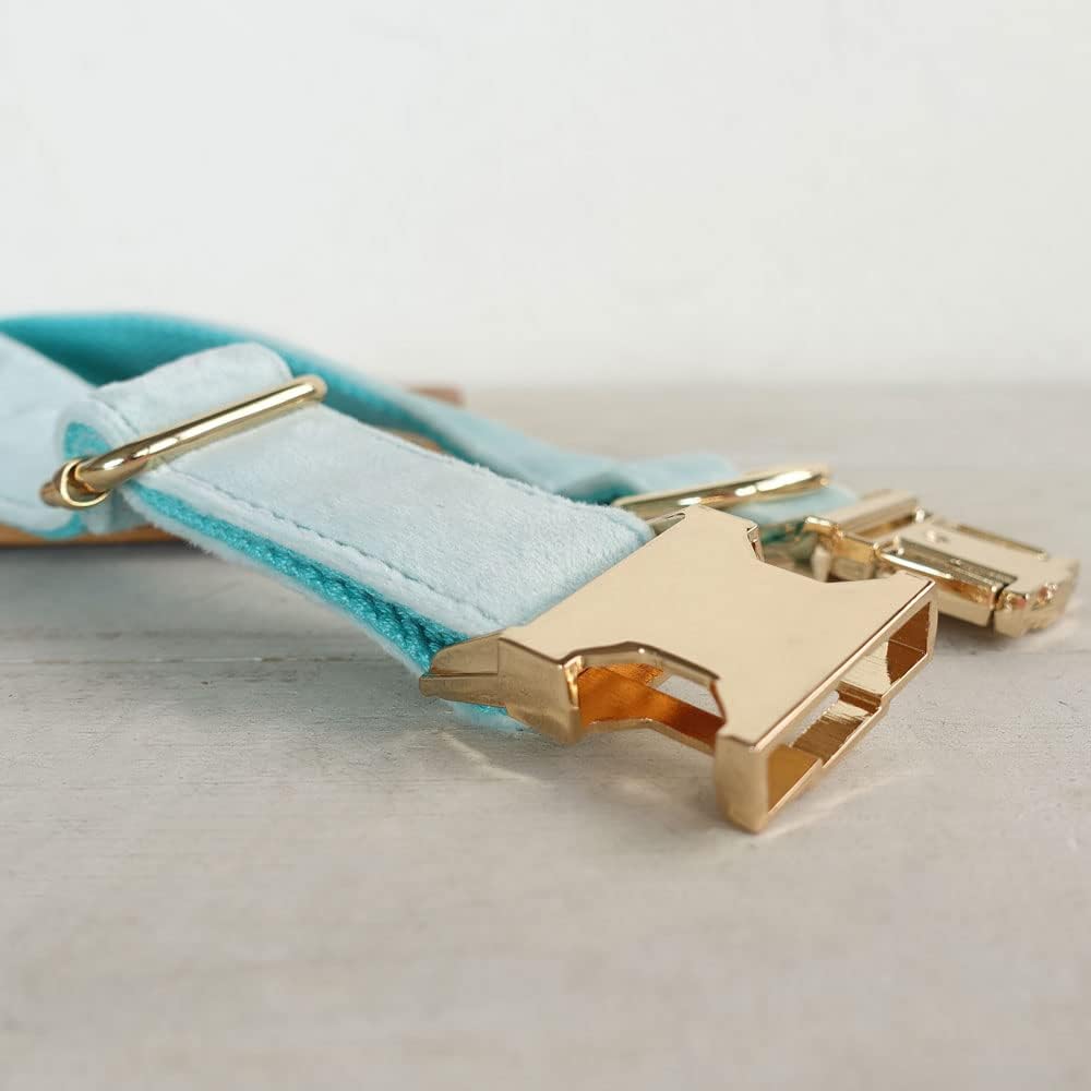 PETDURO Personalized Dog Collar Mint Blue Soft Velvet for Large Medium Small Boy Girl Dogs - Custom Collar with Name Phone Number Engraved on Gold Metal Buckle - Add Leash Bow Set via Customize Now