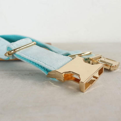 PETDURO Personalized Dog Collar Mint Blue Soft Velvet for Large Medium Small Boy Girl Dogs - Custom Collar with Name Phone Number Engraved on Gold Metal Buckle - Add Leash Bow Set via Customize Now