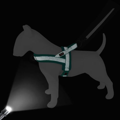 Didog No Pull Dog Harness with Breathable Mesh Padded, Full Reflective & Quick Fit Adjustable Vest Harness, Easy for Training Walking for Small & Medium and Large Dogs (Green, M:Chest 21-26")