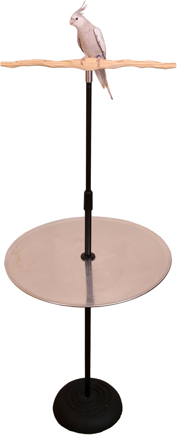 Parrot Training Perch Stand with Potty Tray (T Perch, Small)