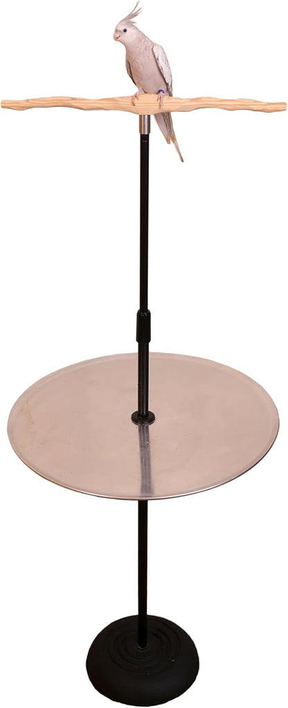 Parrot Training Perch Stand with Potty Tray (T Perch, Small)